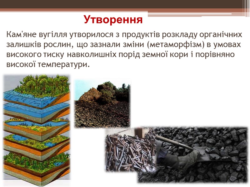 Кам'яне вугілля утворилося з продуктів розкладу органічних залишків рослин, що зазнали зміни (метаморфізм) в